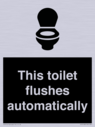 this-toilet-flushes-automatically~